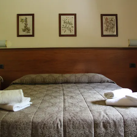 保萨尼亚酒店 滕皮奥保萨尼亚