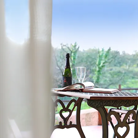 保萨尼亚酒店 酒店