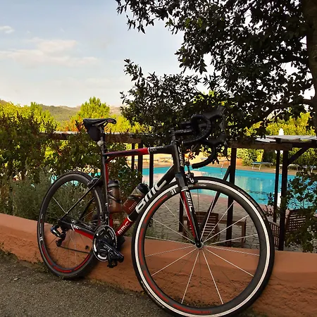 酒店 保萨尼亚酒店