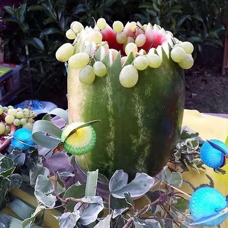 Pausania 3*